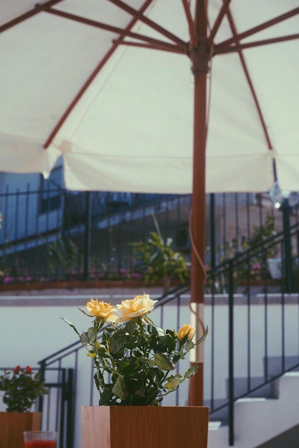 Fiore Di Loto * Carini